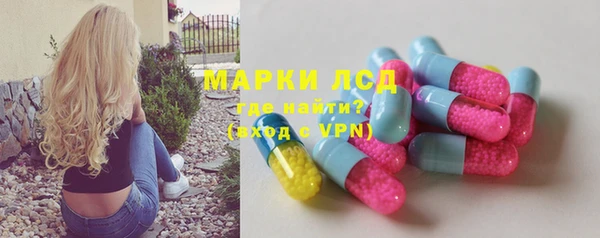 прущие грибы Абинск