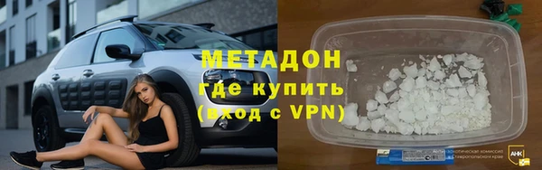 прущие грибы Абинск