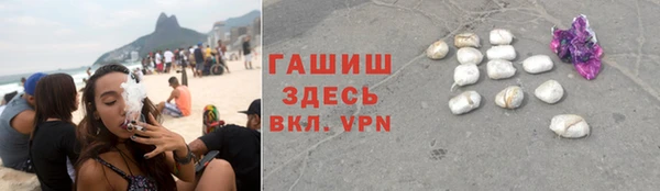 прущие грибы Абинск