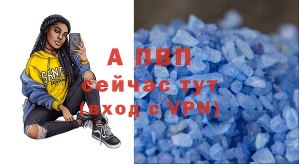 прущие грибы Абинск