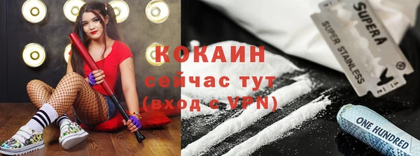 прущие грибы Абинск