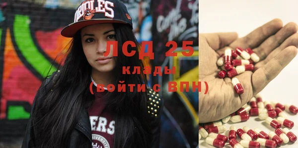 прущие грибы Абинск