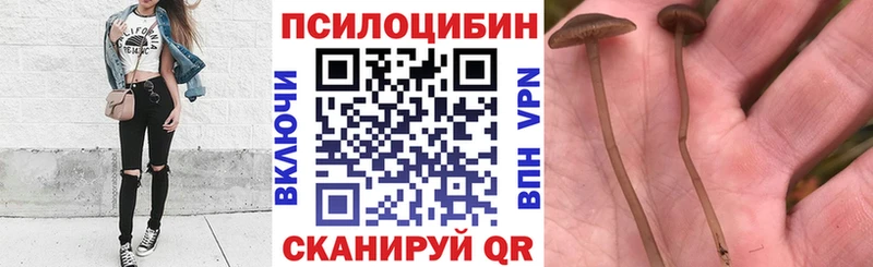 Галлюциногенные грибы GOLDEN TEACHER  Верхоянск 